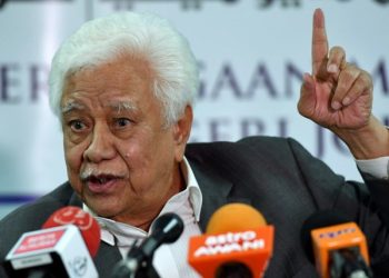 SYED ALI: SIAPA DAPAT TANAH DI JOHOR?