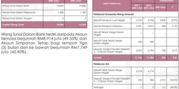 NAJIB: GUAN ENG, SILA LAKSANA RCI ATAU PAC UNTUK SIASAT WANG HILANG LHDN
