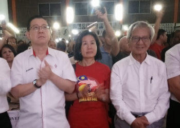 PEMBATALKAN PERLANTIKAN PENASIHAT EKONOMI NEGERI PERAK – BANYAK SEBABNYA