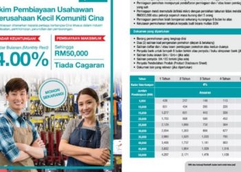 CEO BSN KENA JELASKAN SKIM KAUM CINA TANPA CAGARAN – IBRAHIM ALI