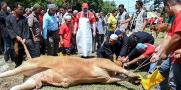 PENYEMBELIHAN KORBAN DI HARI RAYA AIDILADHA DIPERTIKAI