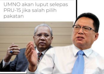 ANNUAR MUSA: UMNO AKAN LUPUT