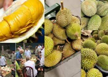 DURIAN OH DURIAN