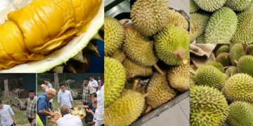 DURIAN OH DURIAN