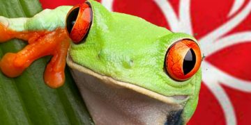 PESTA “MENYEMBELIH KATAK” DI PRN MELAKA