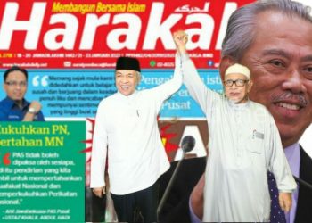 APA FORMULA PAS MAHU PERKUKUHKAN PN DAN PERTAHAN MN?