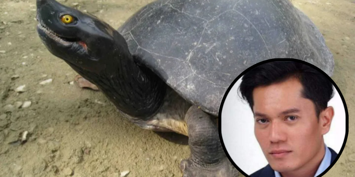 TUNTUNG SUNGAI MALAYSIA: KEPENTINGAN PEMULIHARAAN DAN MASA DEPAN EKOSISTEM AIR